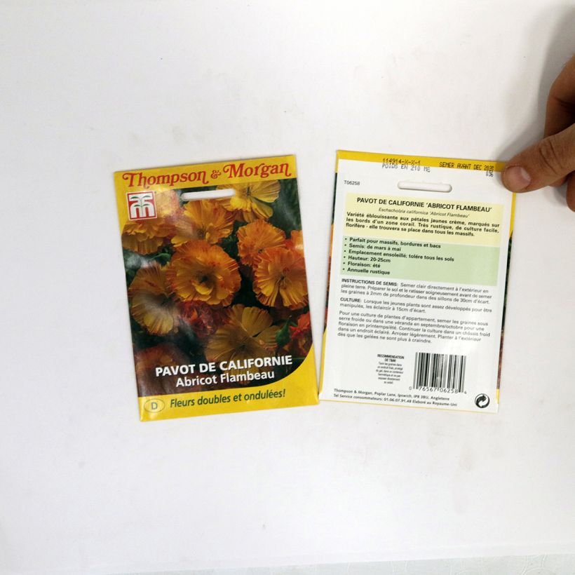 Example of Goldmohn Apricot Flambeau (Samen) - Eschscholzia californica per 0.2 g seed pack as you get