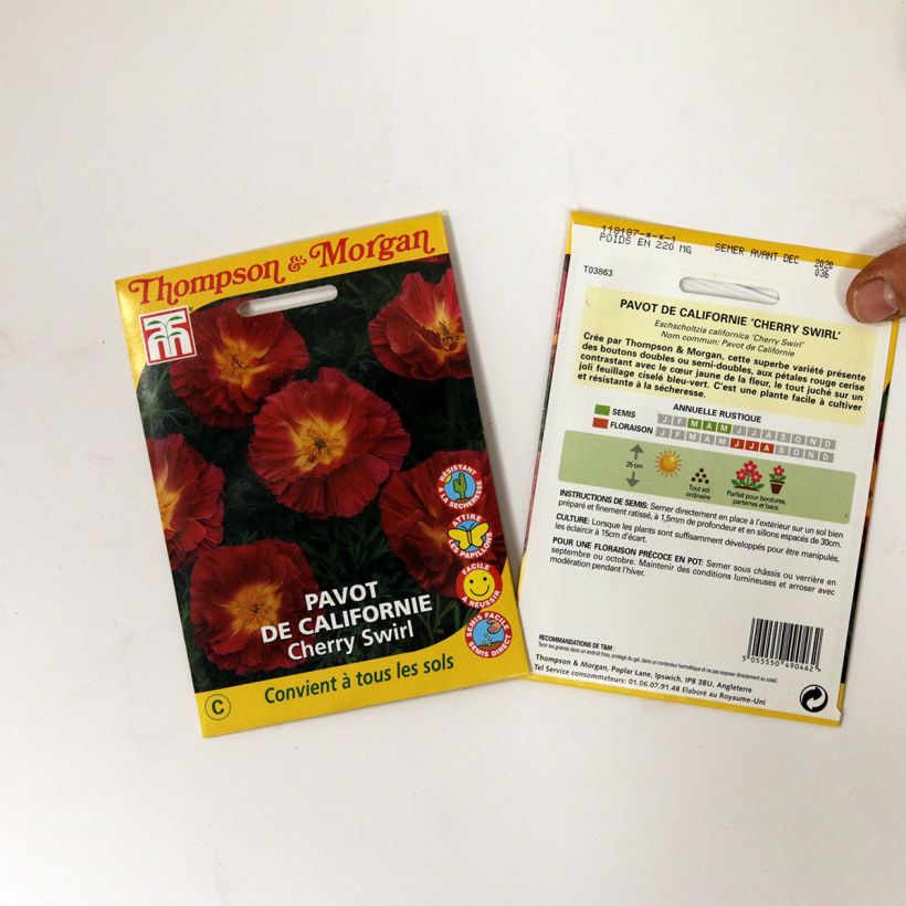 Example of Goldmohn Cherry Swirl (Samen) - Eschscholzia californica per pack of 250 seeds (0,3g) as you get