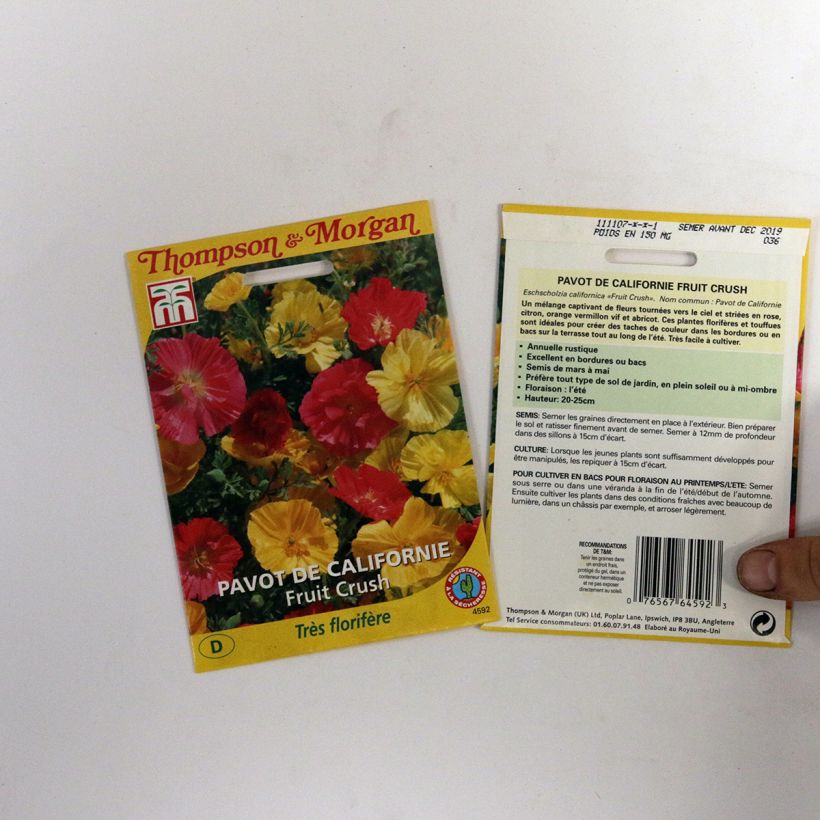 Example of Goldmohn Fruit Crush (Samen) - Eschscholzia californica per pack of 150 seeds as you get