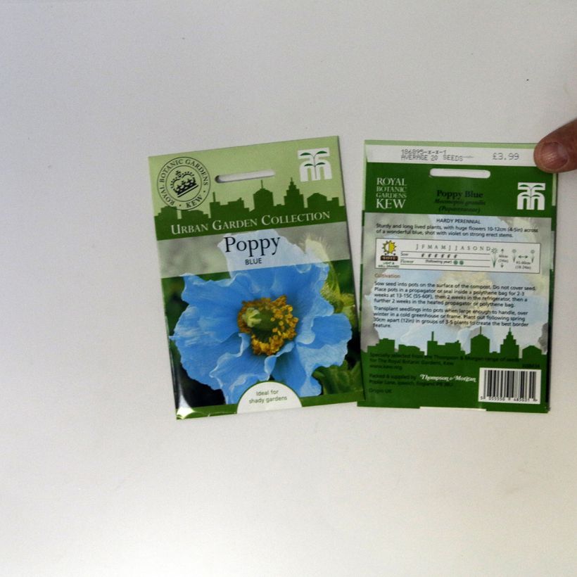 Example of Stiefmütterchen Chalon Supreme Wildberry Mixed per pack of 20 seeds as you get
