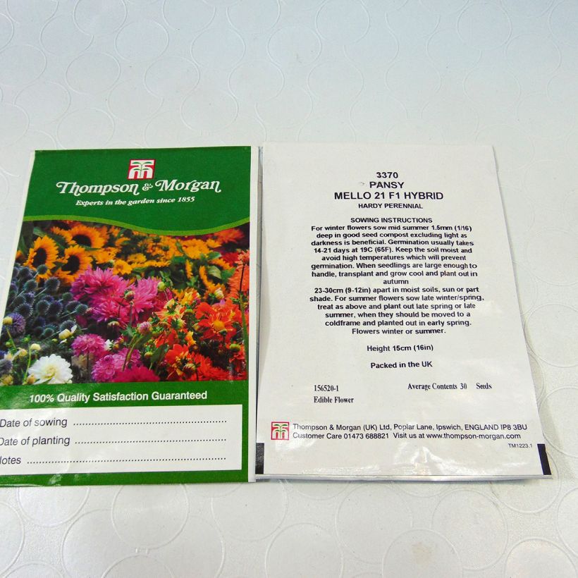 Example of Stiefmütterchen Mello 21 (Samen) per pack of 30 seeds as you get
