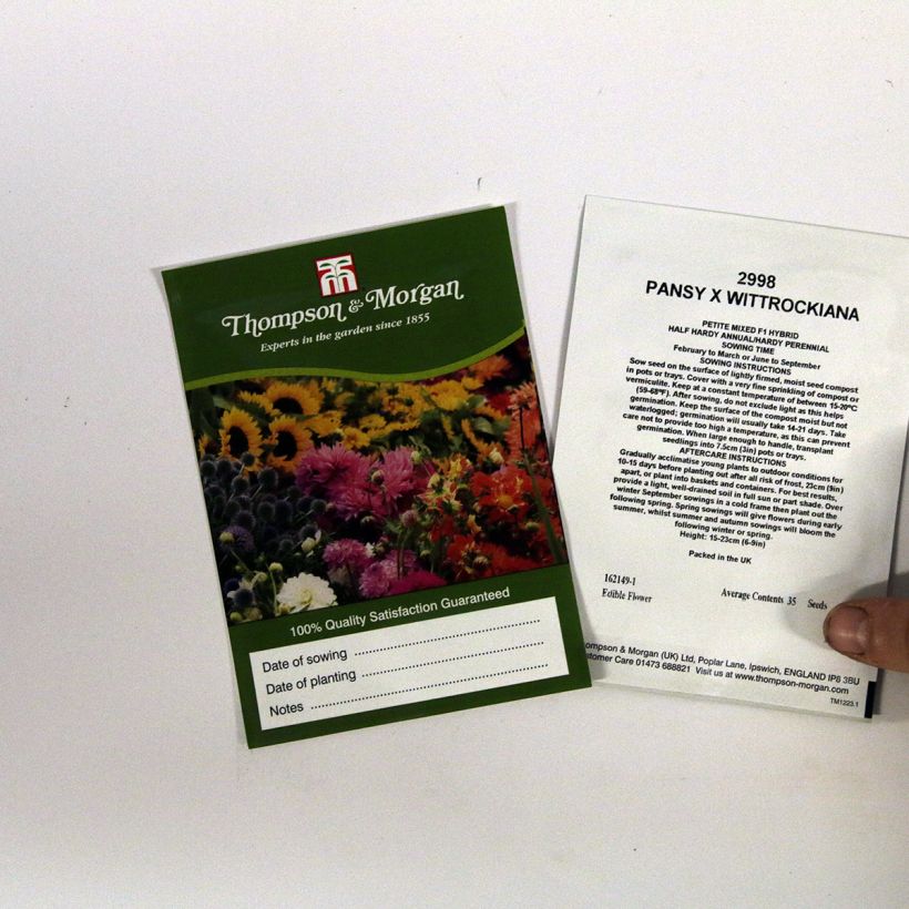 Example of Stiefmütterchen Petite Mixed (Samen) per pack of 35 seeds as you get