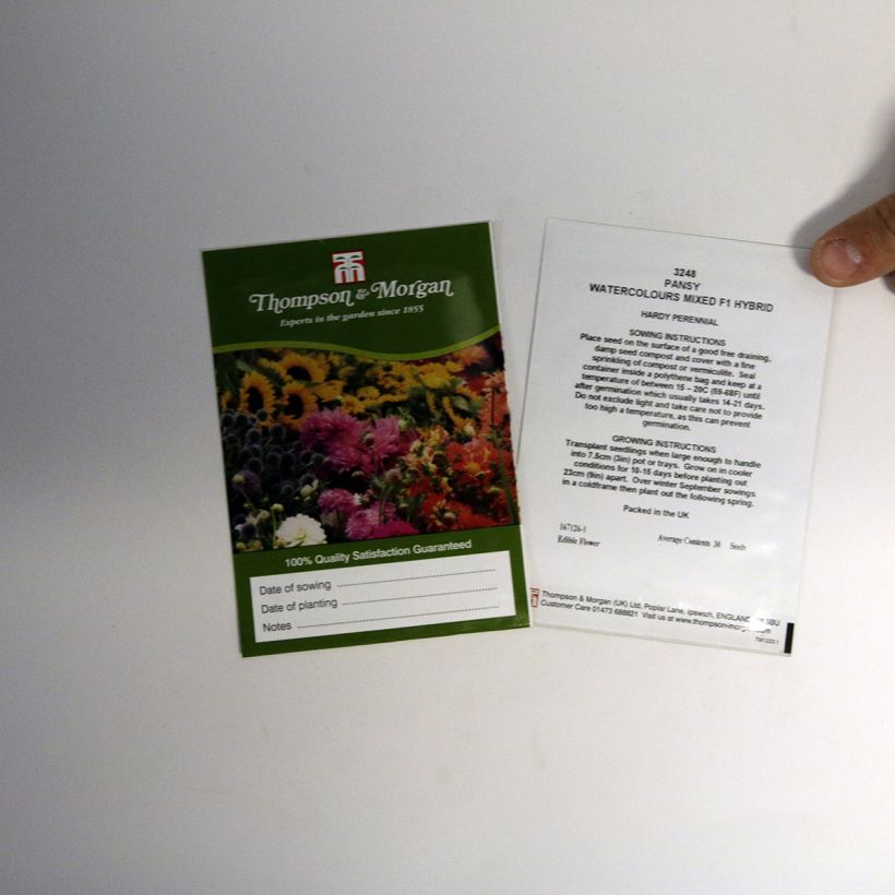Example of Stiefmütterchen Water colours Mixed (Samen) per pack of 30 seeds as you get