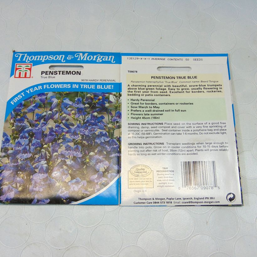 Example of Penstemon heterophyllus True Blue (Samen) - Bartfaden per pack of 50 seeds as you get