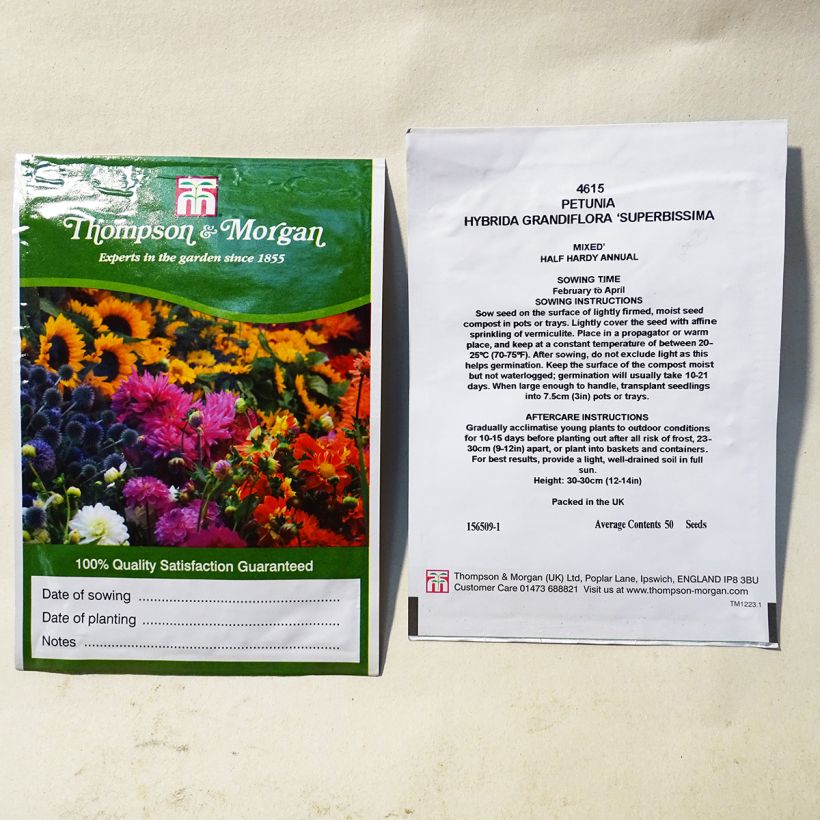 Example of Petunia Superbissima (Samen) per pack of 50 seeds as you get