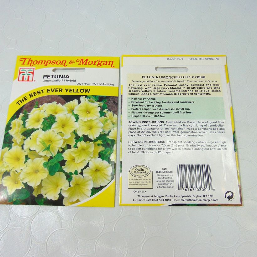Example of Petunia Limoncello (Samen) per pack of 40 seeds as you get