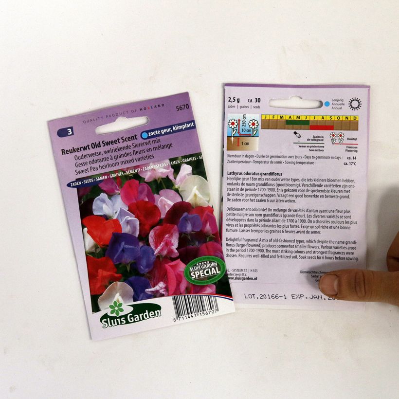 Example of Duftwicke Old Sweet Scent (Samen) - Lathyrus odoratus per pack of 30 seeds as you get