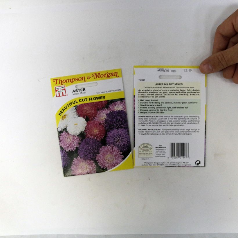 Example of Sommeraster Milady Mixed (Samen) - Callistephus chinensis per pack of 150 seeds (0,4g) as you get