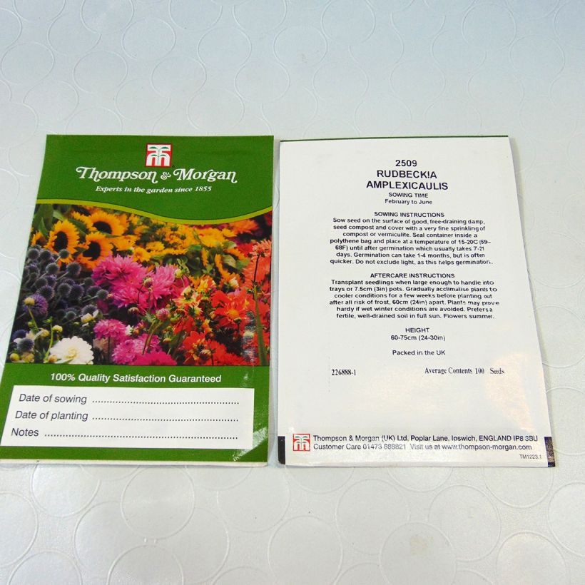 Example of Stängelumfassender Sonnenhut (Samen) - Rudbeckia amplexicaulis per pack of 400 seeds (0,3g) as you get