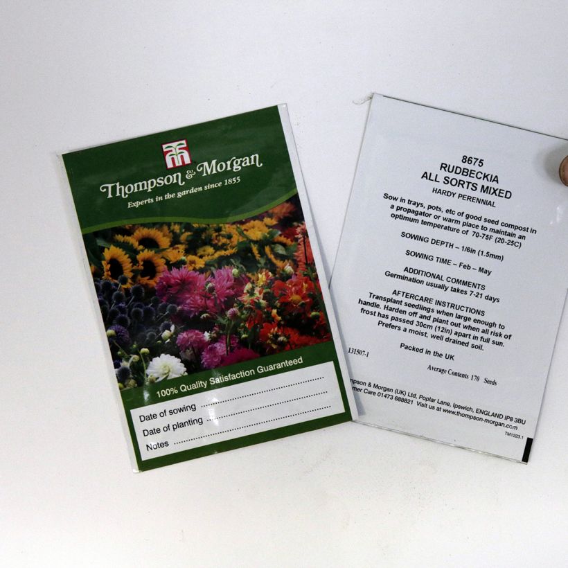 Example of Rauher Sonnenhut All Sort Mixed (Samen) - Rudbeckia per pack of 170 seeds as you get