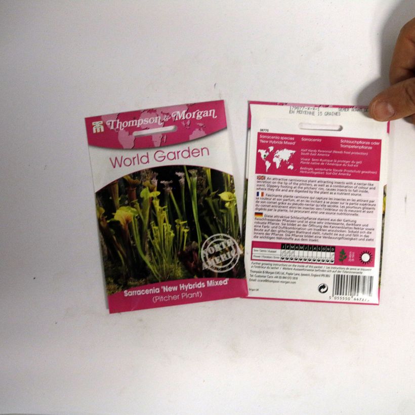 Example of Sarracenia New Hybrids (Samen) - Schlauchblatt per pack of 15 seeds as you get