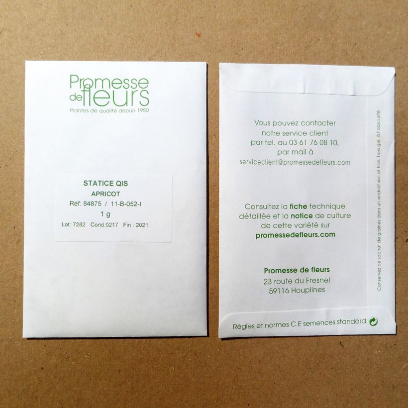 Example of Geflügelter Strandflieder QIS Apricot (Samen) - Limonium per pack of 100 seeds (0,4g) as you get