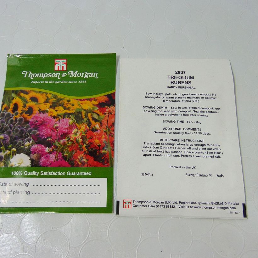 Example of Rotköpfiger Klee (Samen) - Trifolium rubens per pack of 100 seeds (0,25g) as you get