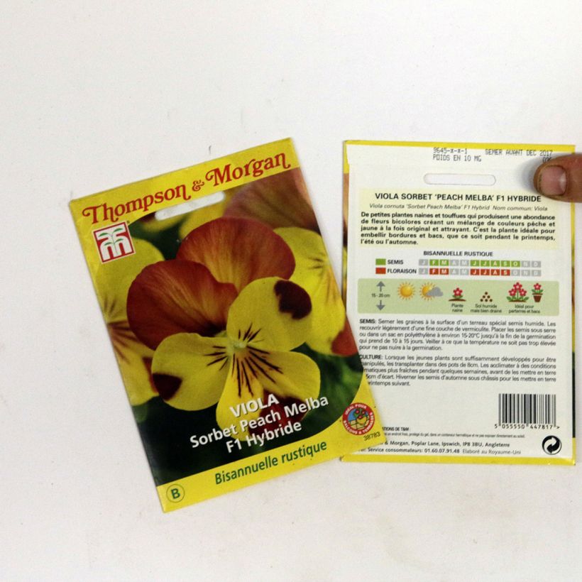 Example of Horn-Veilchen Sorbet Peach Melba F1 Hybrid (Samen) per 2 g seed pack as you get