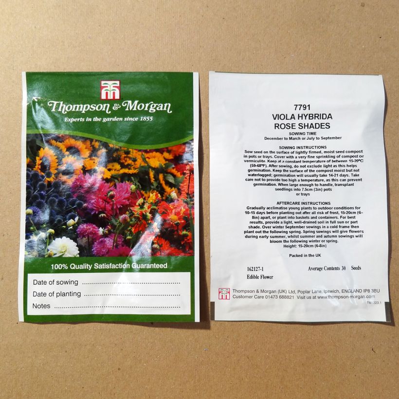 Example of Stiefmütterchen Rose Shades (Samen) per pack of 30 seeds as you get
