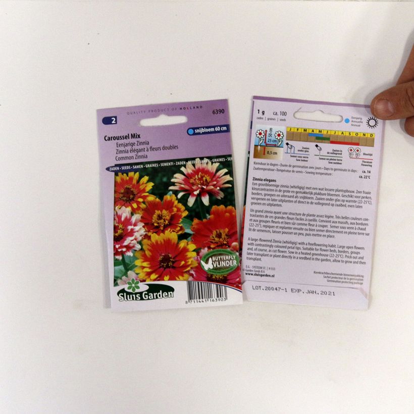 Example of Garten-Zinnie Carrousel Mix (Samen) per 1 g seed pack as you get
