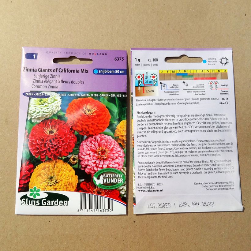 Example of Garten-Zinnie Giant of California Mix (Samen) per pack of 100 seeds (1g) as you get
