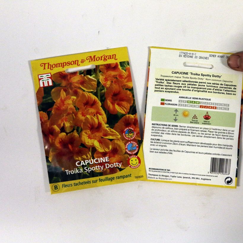 Example of Große Kapuzinerkresse Troika Spotty Dotty per pack of 20 seeds as you get