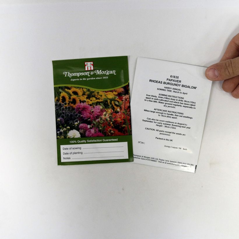 Example of Klatsch-Mohn Burgundy Bigalow (Samen) - Papaver rhoeas per pack of 500 seeds as you get