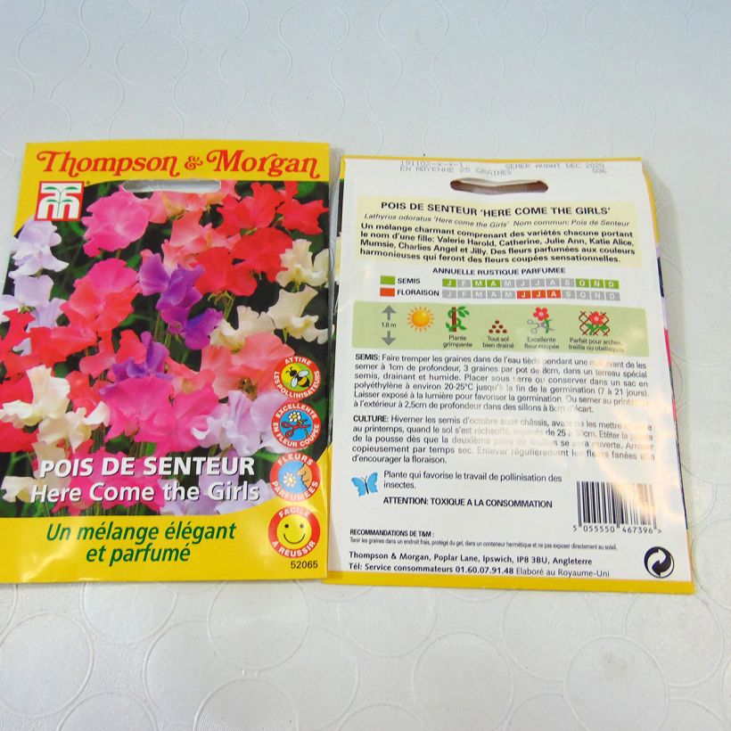 Example of Duftwicke Here come the Girls (Samen) - Lathyrus odoratus per 2 g seed pack as you get