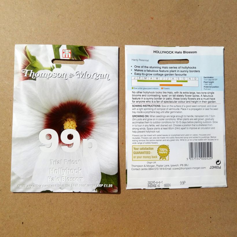 Example of Alcea rosea Halo Blossom (Samen) - Gewöhnliche Stockrose per pack of 25 seeds as you get
