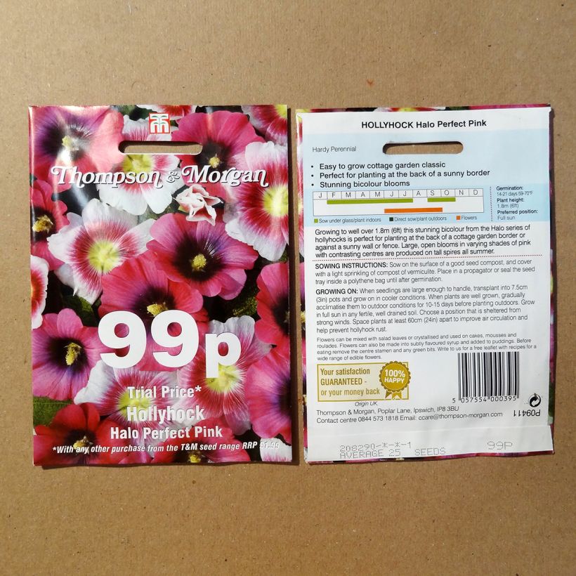 Example of Alcea rosea Halo Perfect Pink (Samen) - Gewöhnliche Stockrose per pack of 25 seeds as you get
