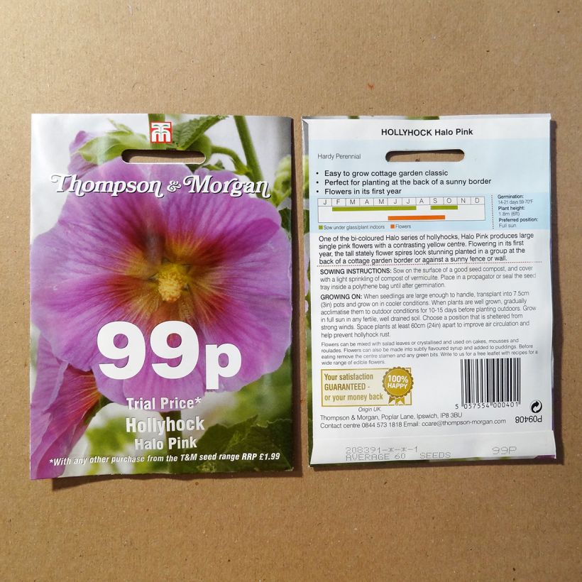 Example of Alcea rosea Halo Pink (Samen) - Gewöhnliche Stockrose per pack of 25 seeds as you get