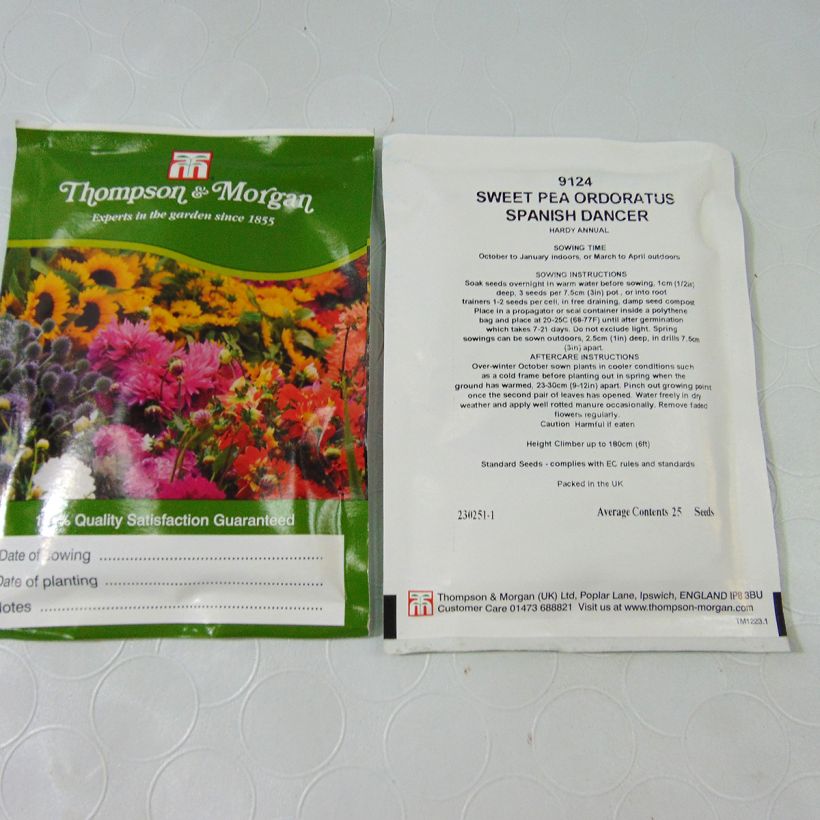 Example of Garten-Nelke Russian Skies (Samen) - Dianthus per pack of 30 seeds as you get