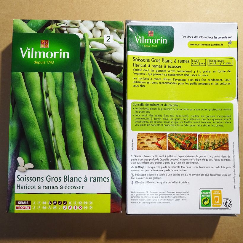 Example of Stangenbohne Soissons gros blanc - Vilmorin per pack of 400 seeds (200g) as you get