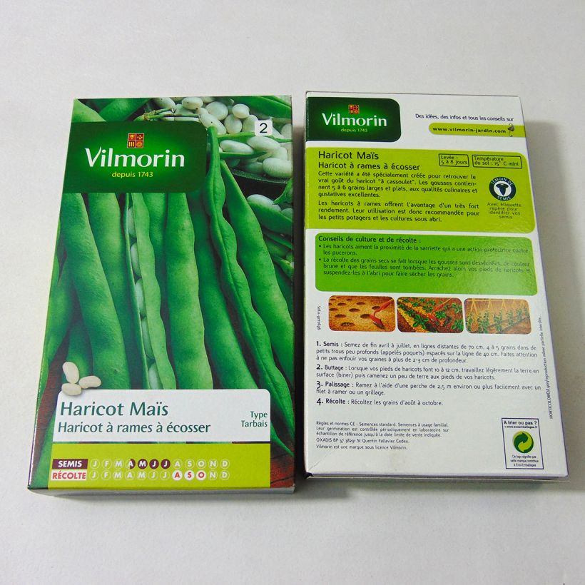 Example of Stangenbohne Soissons maïs - Vilmorin per pack of 180 seeds as you get