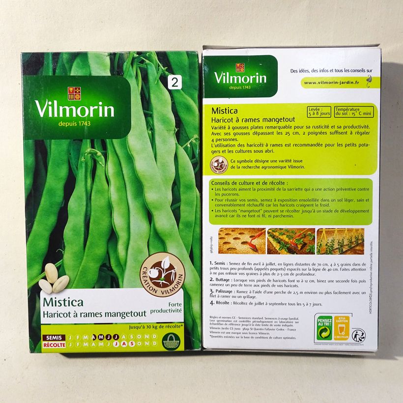 Example of Stangenbohne Mistica - Vilmorin Samen as you get