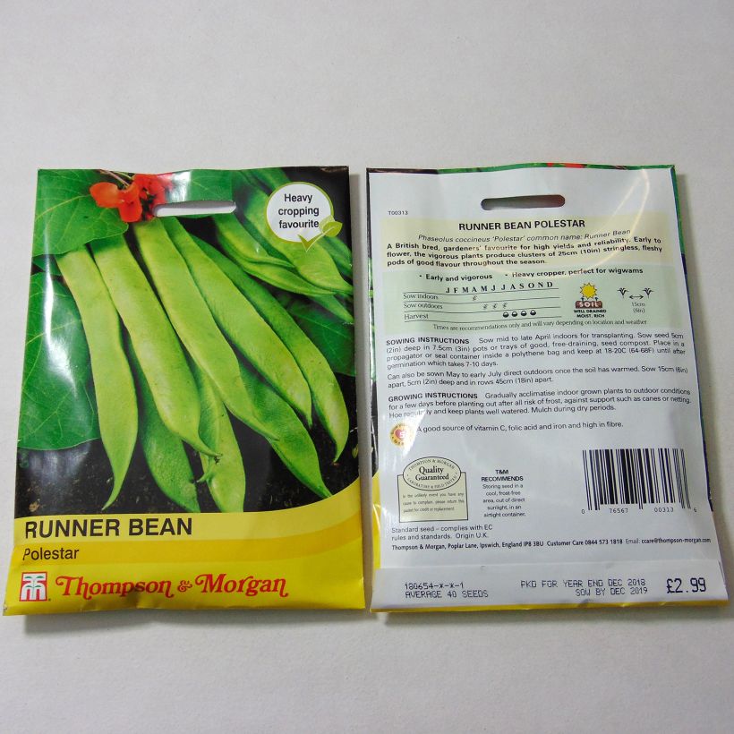 Example of Feuerbohne Polestar per pack of 40 seeds as you get