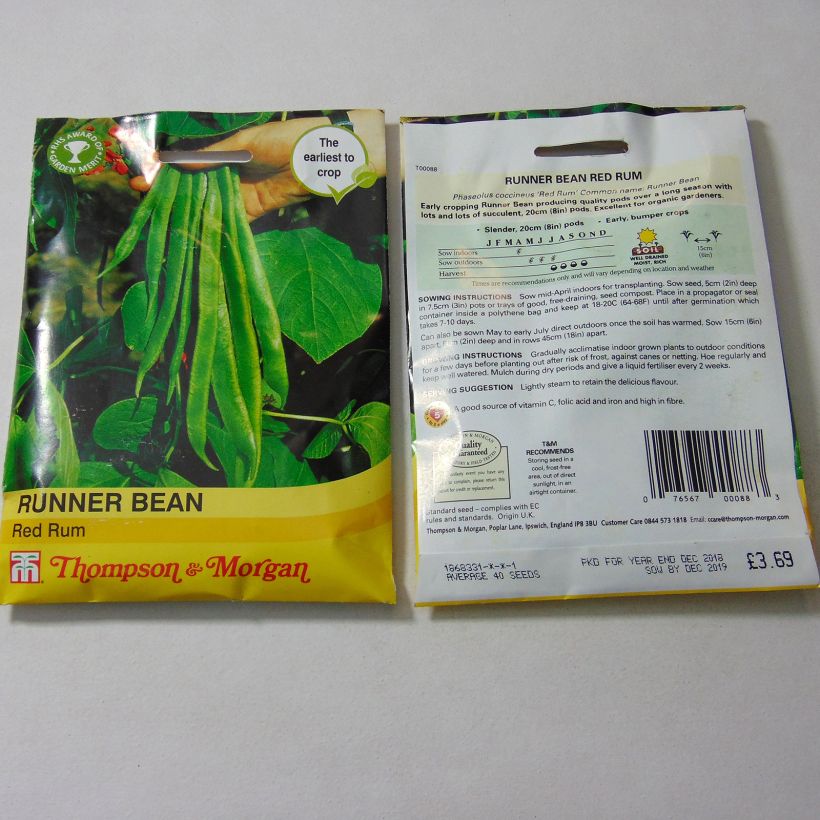 Example of Feuerbohne Red Rum per pack of 40 seeds as you get