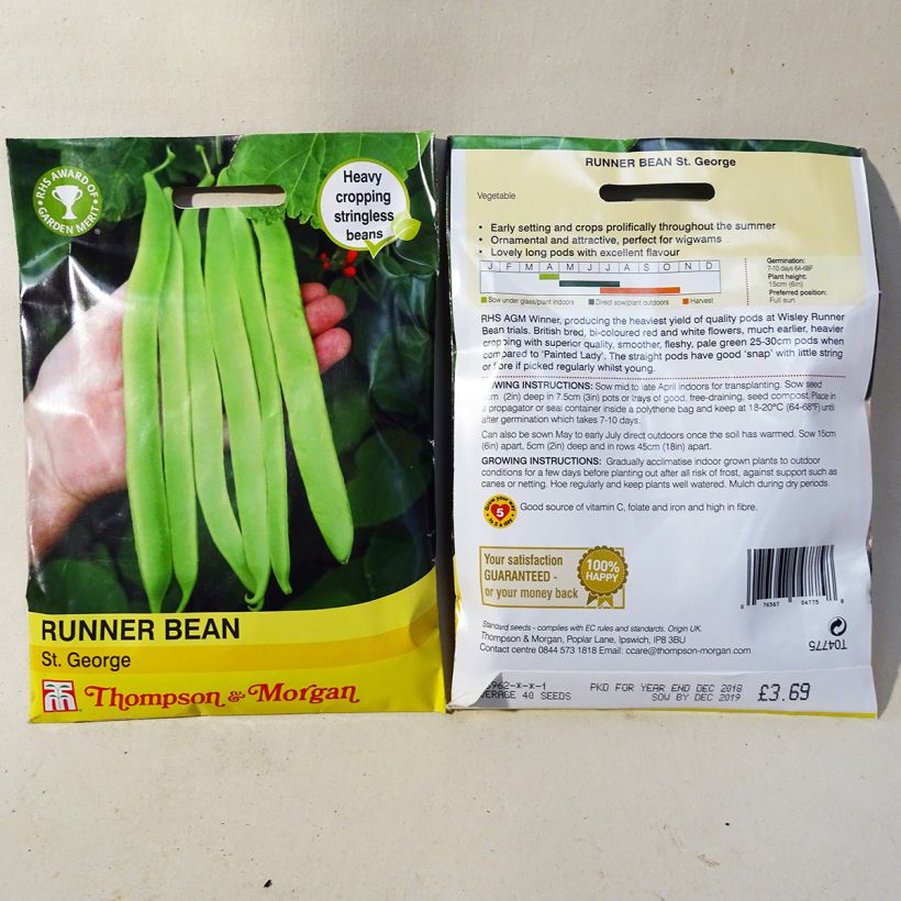 Example of Feuerbohne St. George per pack of 40 seeds as you get