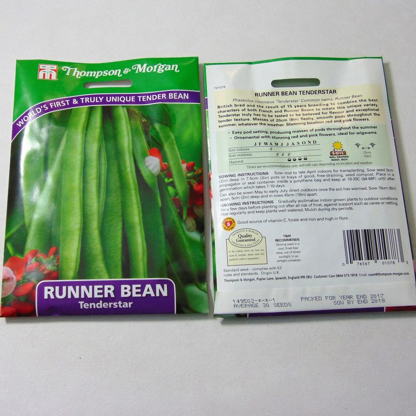 Example of Feuerbohne Tenderstar per pack of 30 seeds as you get