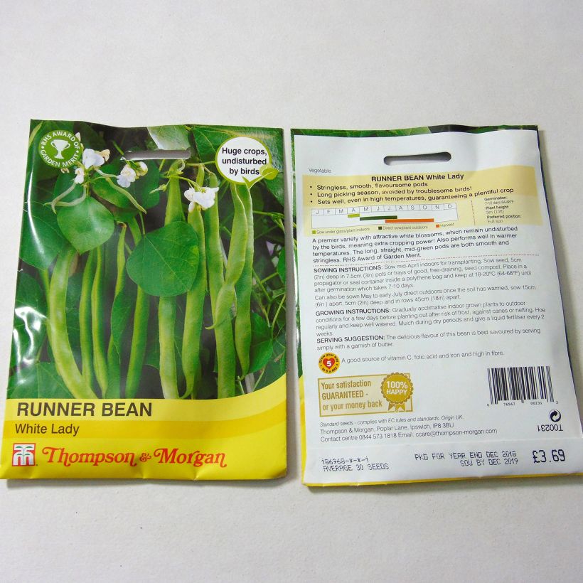 Example of Feuerbohne White Lady per pack of 30 seeds as you get