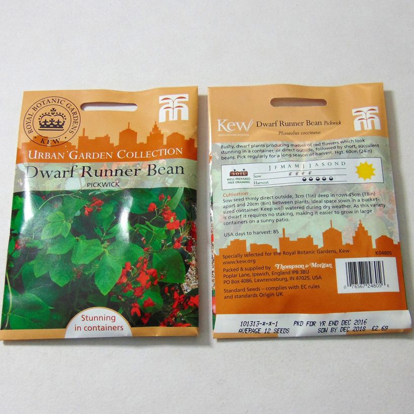 Example of Feuerbohne Pickwick per pack of 12 seeds as you get