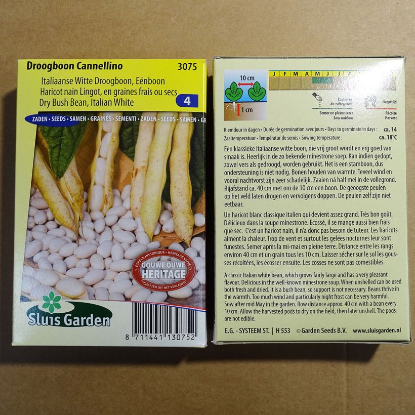 Example of Zwergbohne Cannellino per pack of 200 seeds (100g) as you get