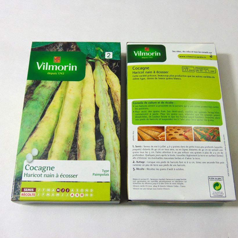 Example of Zwergbohne Cocagne - Vilmorin per pack of 400 seeds (200g) as you get