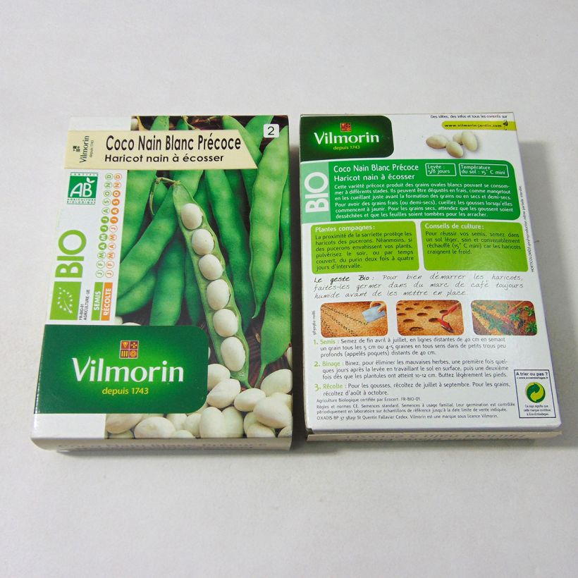 Example of Zwergbohne Coco Bio - Vilmorin per pack of 200 seeds (100g) as you get