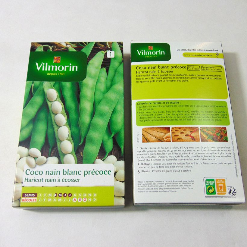 Example of Garten-Bohne Coco Blanc - Vilmorin per pack of 400 seeds (200g) as you get