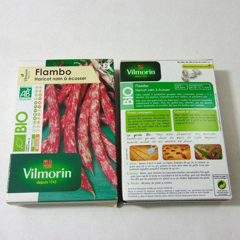 Example of Zwergbohne Flambo Bio - Vilmorin per pack of 200 seeds (100g) as you get