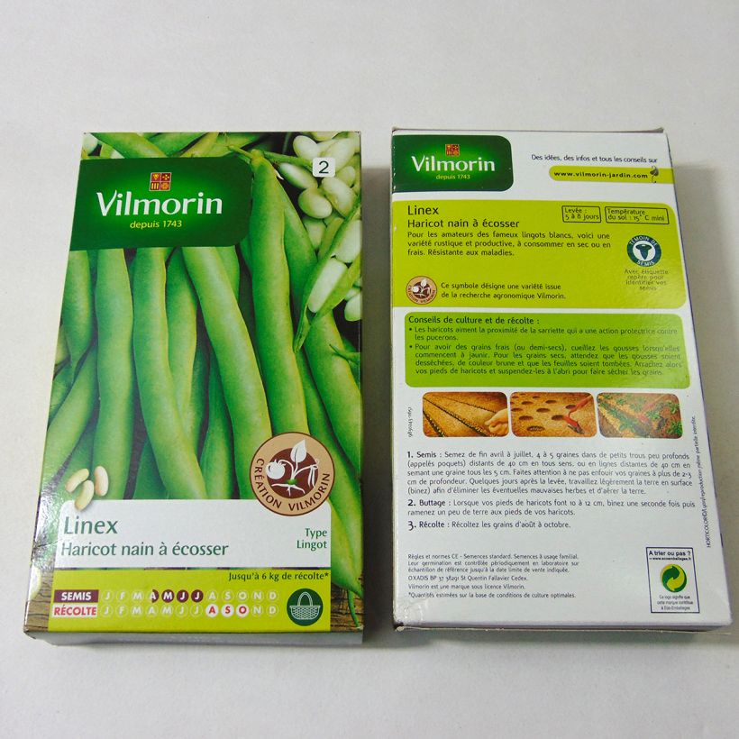 Example of Zwergbohne Linex - Vilmorin per pack of 400 seeds (200g) as you get