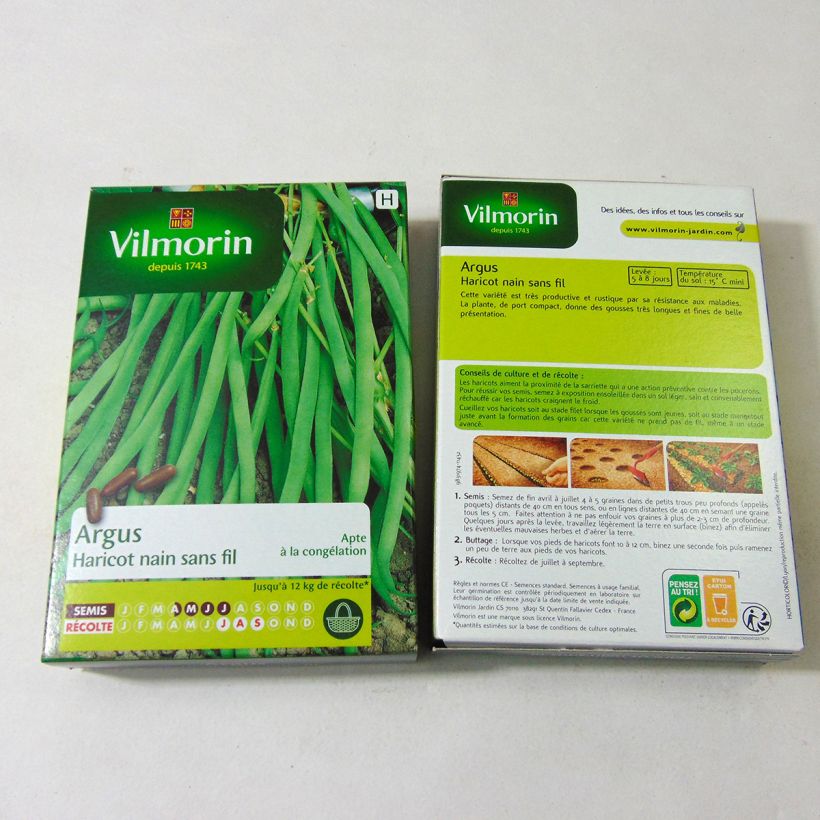 Example of Zwergbohne Argus - Vilmorin per pack of 200 seeds (100g) as you get