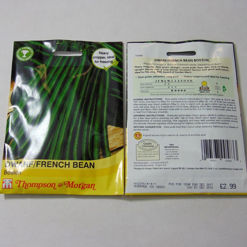 Example of Zwergbohne Boston per pack of 100 seeds as you get