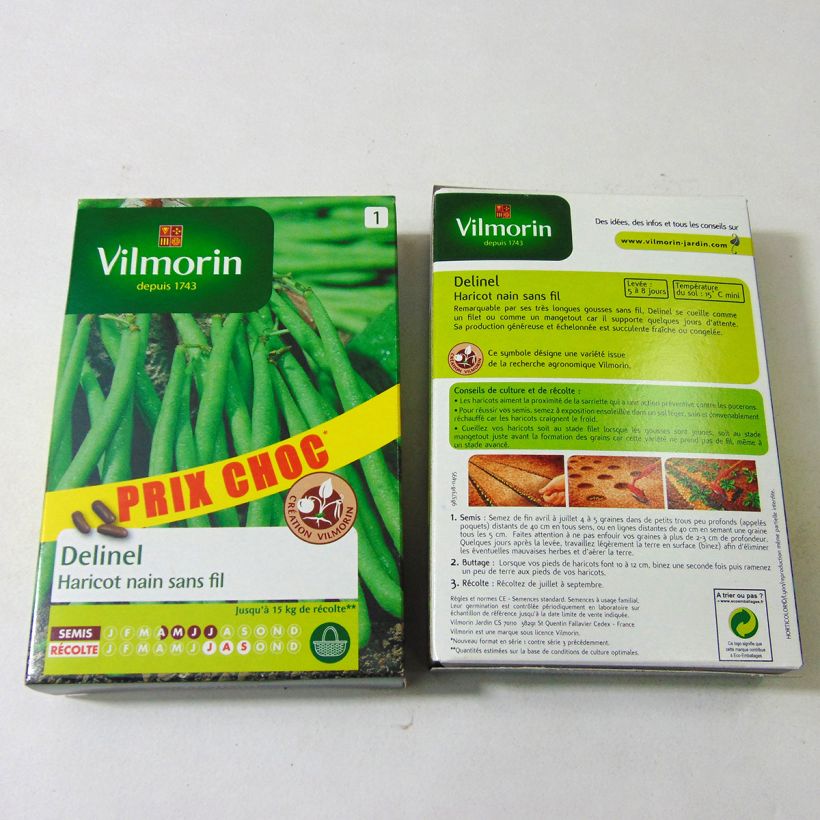 Example of Buschbohne Delinel - Vilmorin per pack of 280 seeds (140g) as you get