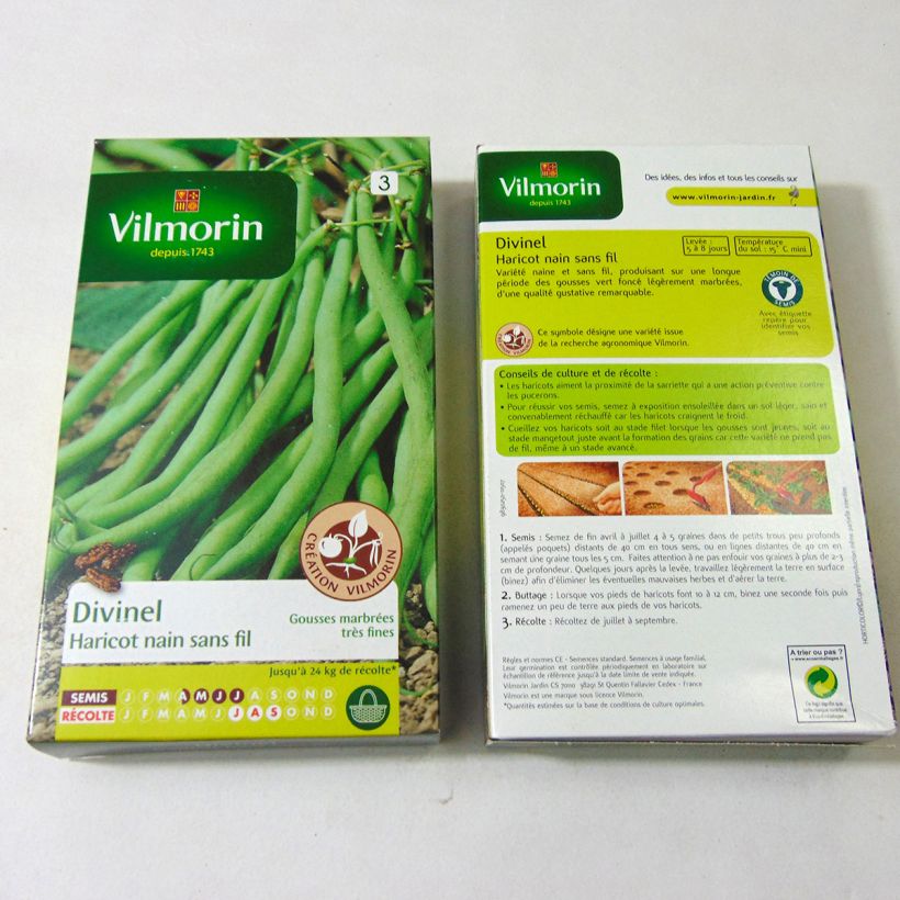 Example of Zwergbohne Divinel - Vilmorin per pack of 400 seeds (200g) as you get