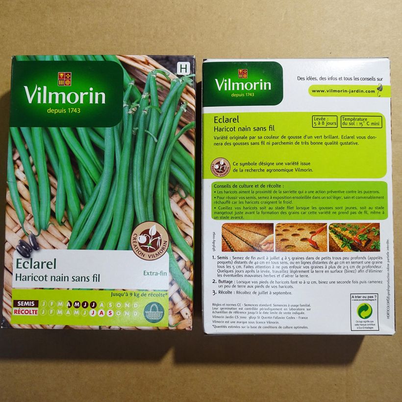 Example of Zwergbohne Eclarel - Vilmorin per pack of 200 seeds (100g) as you get