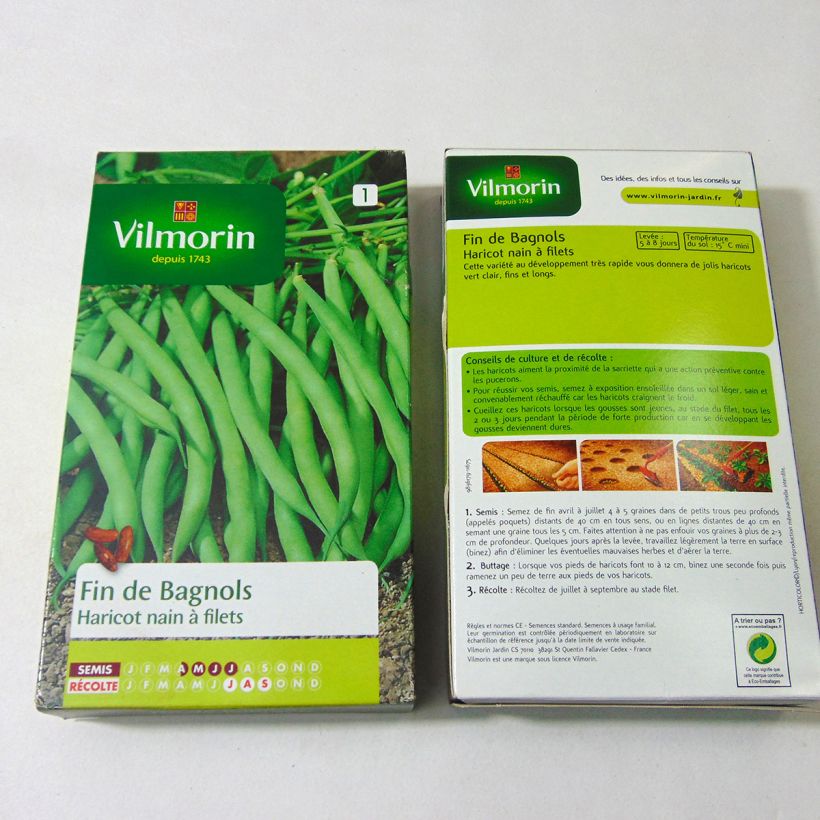 Example of Zwergbohne Fin de Bagnols - Vilmorin per pack of 500 seeds (250g) as you get