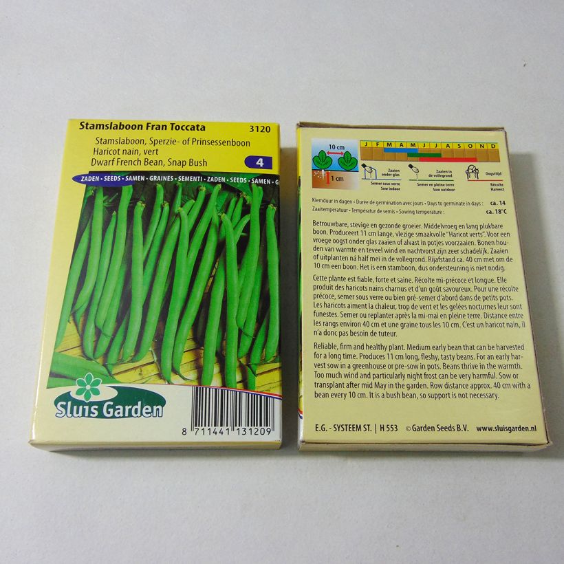 Example of Zwergbohne Fran Toccata per pack of 150 seeds (75g) as you get